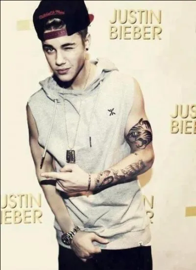 Comment appelle-t-on le mouvement qu'il faisait avec sa mche ?