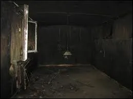 Qui chantait  Depuis le temps que je patiente dans cette chambre noire, j'entends qu'on s'amuse et qu'on chante au bout du couloir  ?