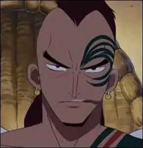 De quel manga je viens ?