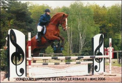 Pour monter ou sauter  cheval, il faut toujours ajuster ses rnes