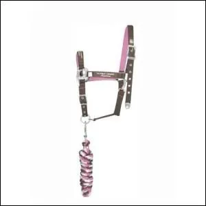 Comment s'appelle la partie qui est accroche au licol ?