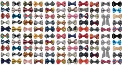 Quels sont les Doctors qui portent un nud papillon ?