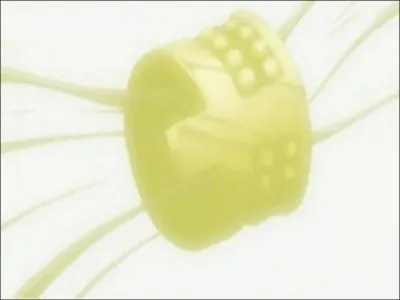 A qui appartient cet objet ?