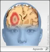 A quel film vous fait penser cette image ?