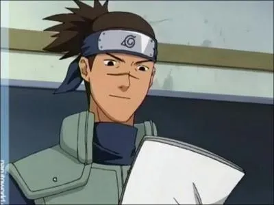 Qui est son professeur  l'acadmie ?