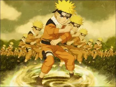 Quelle est la technique  matriser pour acqurir le diplme de l'acadmie ?