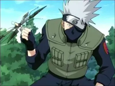 Qui est leur professeur ?