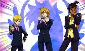 La guilde de  Blue pegasus  a un trio   l�gendaire  (par rapport � leur beaut� ) comment on les appelle ?