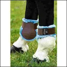 A quoi sert cette protection ?