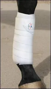 A quoi sert cette protection ?