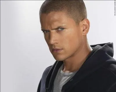 Quel est le nom de Michael dans la srie   Prison Break   ?