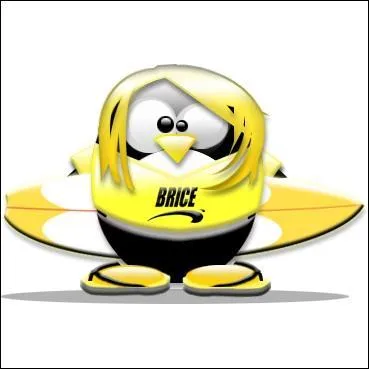 Quel est ce c�l�bre personnage ?