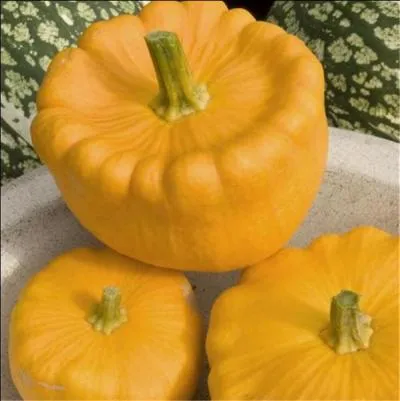 Mais quel est donc ce fruit automnal ?