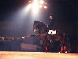 Que fait ce cheval ?