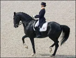 Que fait ce cheval ?