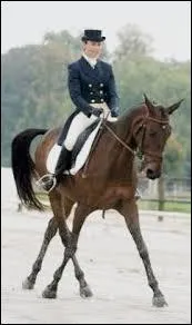 Que fait ce cheval ?