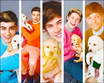 Quel tait leur premier clip ?