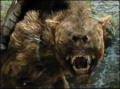 Comment s'appellent les loups de l'Isengard ?