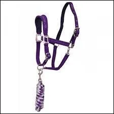 Quelle est la marque de ce licol ?