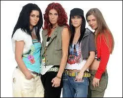 Quel est leur style de musique ?