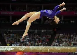 Un flip ne se fait pas sur quel agrs ?