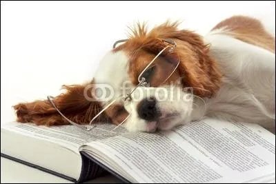 Le manuscrit de Voynich est un manuscrit qu'a acquis Wilfrid Voynich en 1912 auprs de Jsuites italiens. Ce manuscrit est crit :