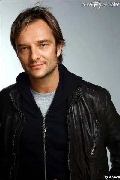 Comment est l'homme dans une chanson de David Hallyday ?