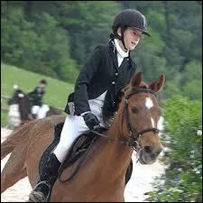 La muserolle allemande est interdite en comptition de hunter.