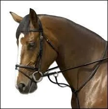 Quel est le but de la martingale ?