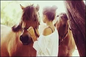  Equus Caballus  est la traduction de  Cheval . Mais de quelle langue ?