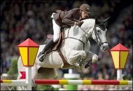 Comment s'appelle la belle jument de Kevin Staut ?