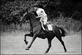 Qu'est-ce que l'aubin ?