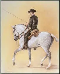 Quelle est cette discipline questre ?