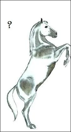 Comment s'appelle ce mouvement de dressage ?