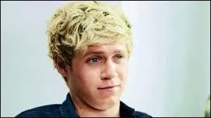 Quel personnage est interprt par Niall Horan dans le clip ?