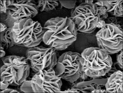 L'art roman : Quel est cet oxyde venant de Bohme qui donne un bleu trs clair  la pte de verre, et qui tait utilis au XIIe sicle dans les vitraux ?