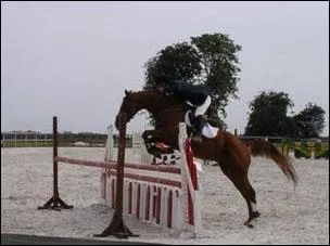 O se passe le championnat de France de saut d'obstacle ?