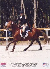 Dans quelle discipline la race selle francais brille-t-elle le plus ?