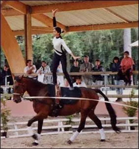 Comment s'appelle cette discipline ? ( voir photos)