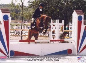 Quand on fait du saut il faut mettre :