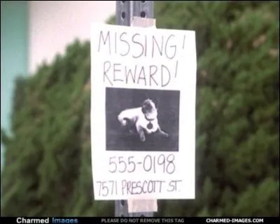 Qui a pos cette affiche ?