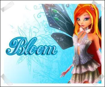 Quelle est la date de naissance de Bloom ?