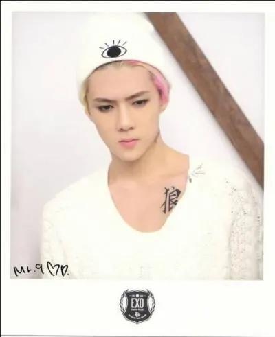 Dans quel MV de EXO Sehun a-t-il des cheveux de toutes les couleurs ?