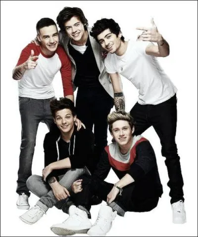 Que veut dire  Last First Kiss  ?