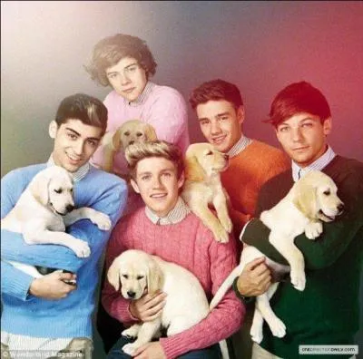 Combien de chansons les Boys ont-ils crit sur l'album ?