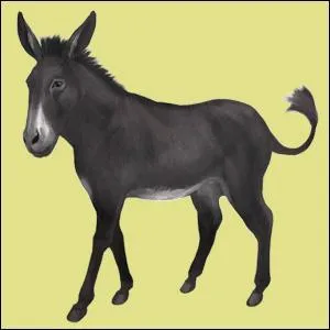 Est-ce que les nes existent dans le jeu ?