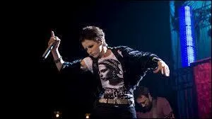 Quel est leur style de musique ?