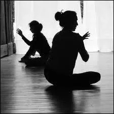 Qui a dit "La bigamie consiste à avoir une femme de trop ; la monogamie aussi. "