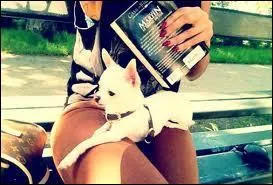 Shy'm a-t-elle un chien ou une chienne ?