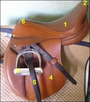 Quelle est la partie 6, de la selle ?
